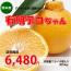 【送料無料】熊本産　有明デコちゃん(デコポン)　13～15個入り(約5kg)