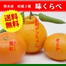【期間限定】熊本産　柑橘3種　味くらべ【送料無料】