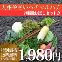 【送料無料】オススメ野菜7種セット!【お試し版】