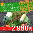 【送料無料】九州やさいオススメ野菜12種セット!【定期購入】