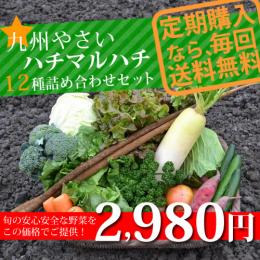 【送料無料】九州やさいオススメ野菜12種セット!【定期購入】