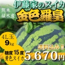 【4L玉9kg】黄色スイカ 金色羅皇【糖度15度!】