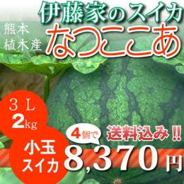 【3L小玉2kg】なつここあ4個セット