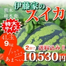【4L玉9kg】伊藤家のスイカ2個セット