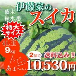 【4L玉9kg】伊藤家のスイカ2個セット