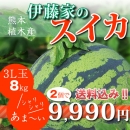 【3L玉8kg】伊藤家のスイカ2個セット
