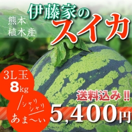 【3L玉8kg】伊藤家のスイカ