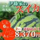 【L玉6kg】伊藤家のスイカ2個セット
