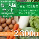 【送料無料】九州やさい一人暮らし野菜4種+卵4個セット!【定期購入】