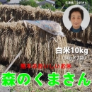 【送料無料】平成27年度　熊本県産　森のくまさん　白米10kg(5kg×2)
