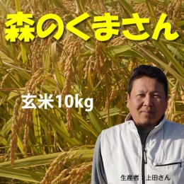 【送料無料】平成27年度　熊本県産　森のくまさん(上田)　玄米10kg(5kg×2)