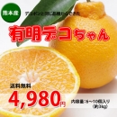【送料無料】熊本産　有明デコちゃん(デコポン)　8～12個入り(約3kg)