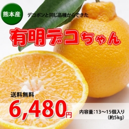 【送料無料】熊本産　有明デコちゃん(デコポン)　13～15個入り(約5kg)