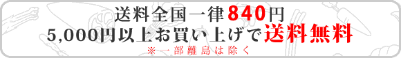 九州やさいハチマルハチは送料全国一律840円