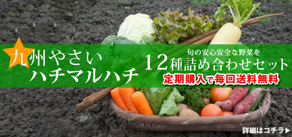 安心安全九州やさいハチマルハチ定期購入