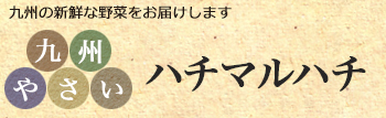 九州やさいハチマルハチ