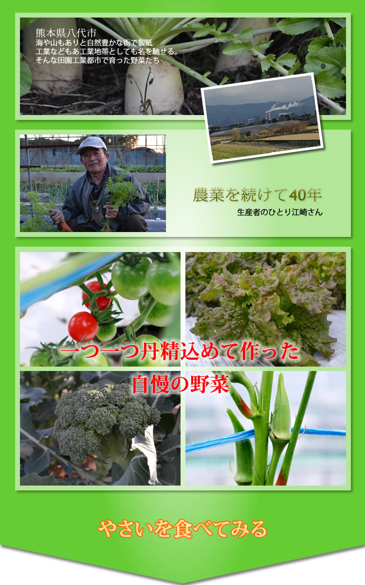 九州野菜ハチマルハチ　生産者の江崎さん