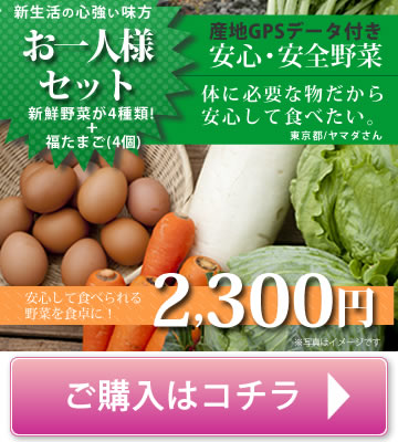 九州野菜ハチマルハチ　送料無料お一人様セット