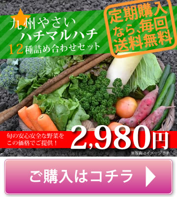 九州野菜ハチマルハチ　送料無料オススメ12種セット